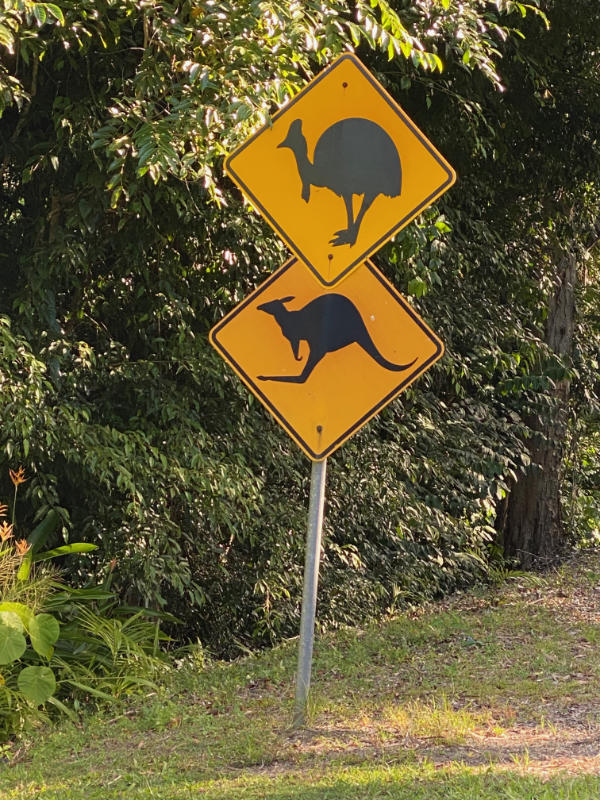 Wallaby and cassowary warning road signs.