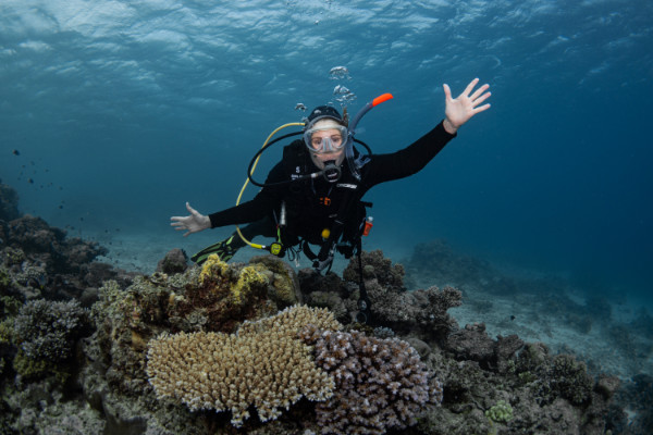 Pat scuba diving under the water's surface.